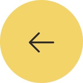 Flecha anterior